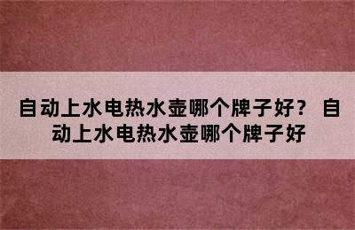 自动上水电热水壶哪个牌子好？ 自动上水电热水壶哪个牌子好